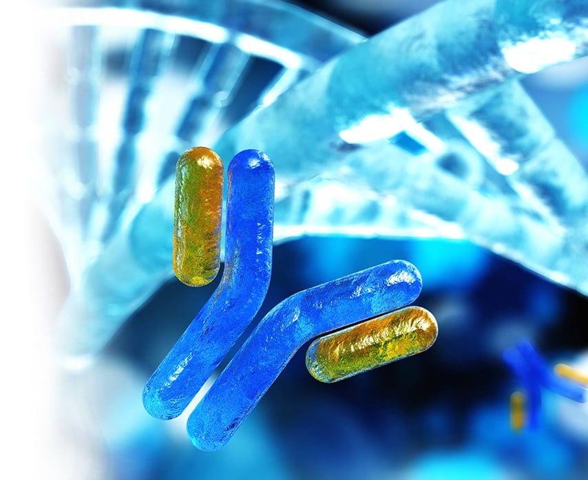 RNA-Protein Co-Detection Assays